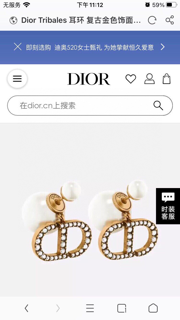 Christian Dior Earrings